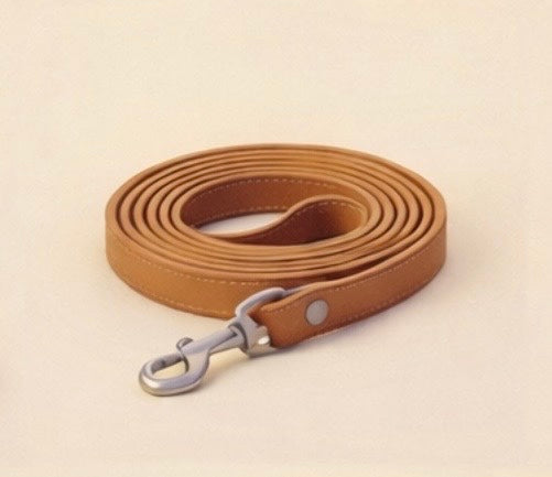 Dogs Leash