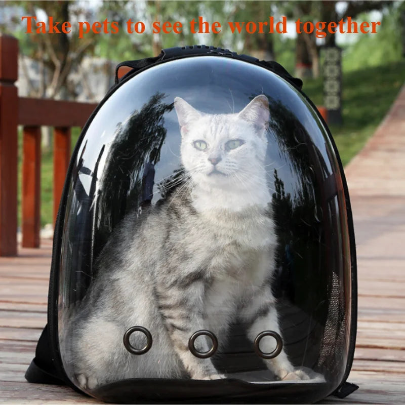 AeroVoyage transparent pet carrier backpack by Petivo, featuring ultra-ventilated design for hiking and travel with pets.