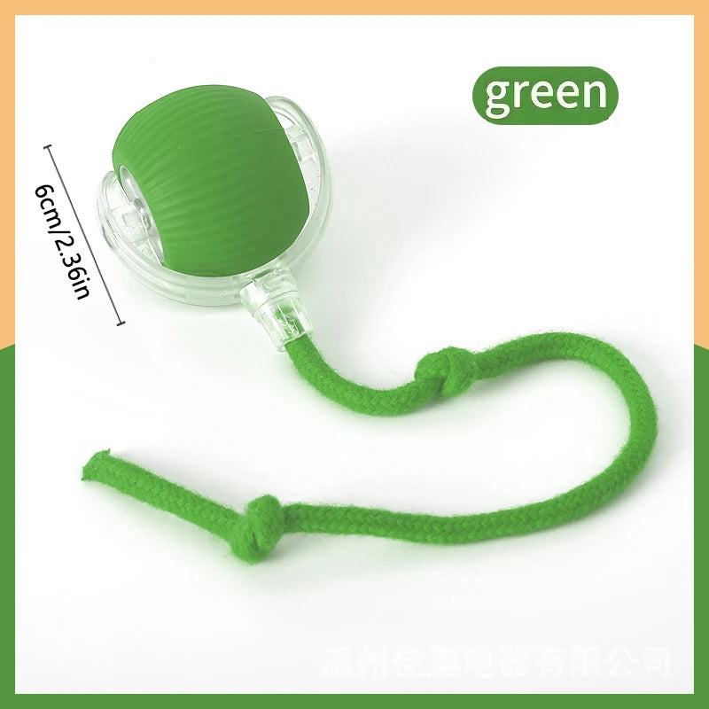 WhiskerPlay™ Smart Catnip Ball, an electric plush toy for dogs, featuring vibrant colors and a soft, textured surface.