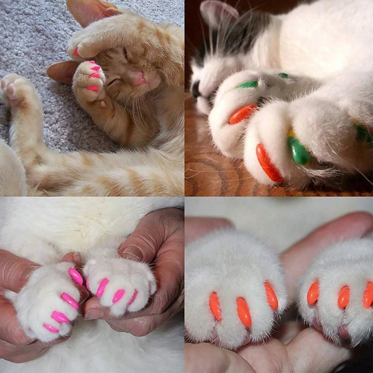 Colorful SoftPaws™ cat nail caps in a pack of 20, designed for safe grooming and claw protection for cats.