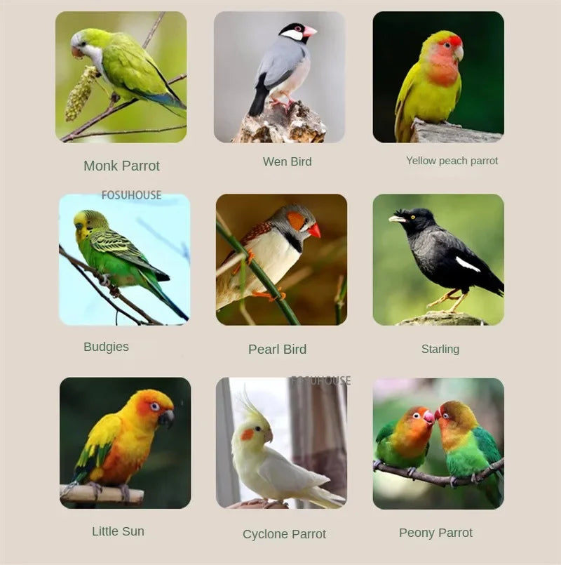 AviaryLux™ Bird Cage – Large Wrought Iron Luxury Home for Budgies, Cockatiels & Parrots | Splash-Proof Design