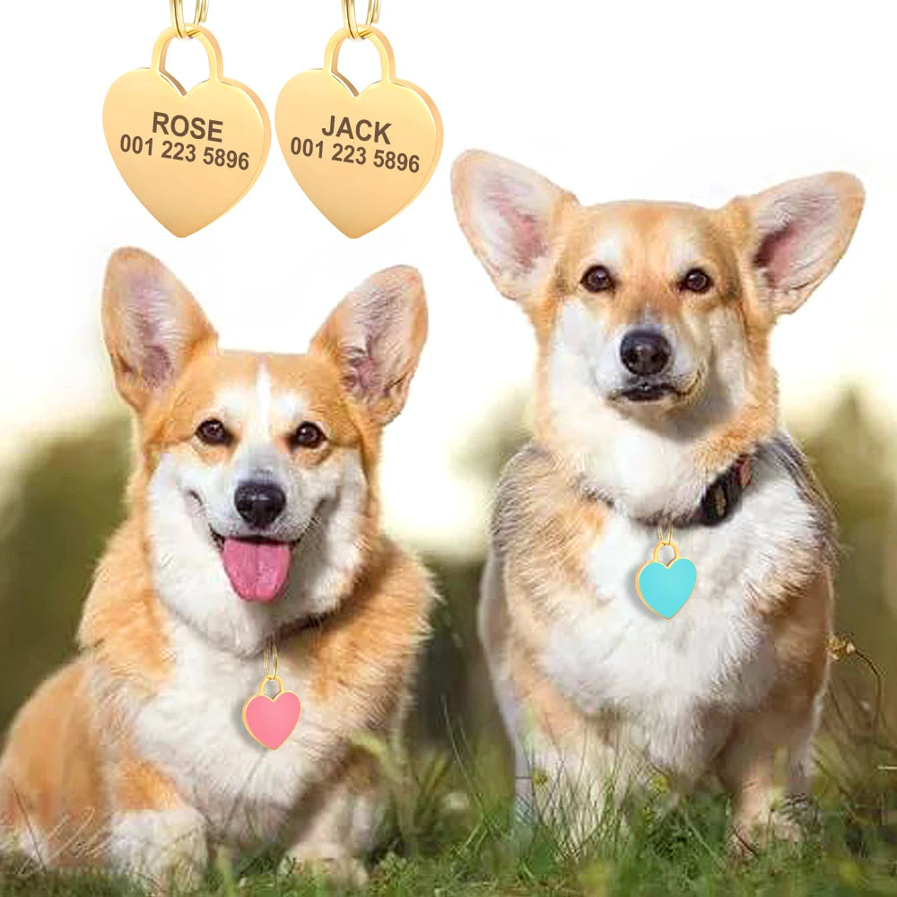 SafePaws™ ID Tag – Personalized Engraved Dog Nameplate | Anti-Lost Collar Pendant for All Breeds