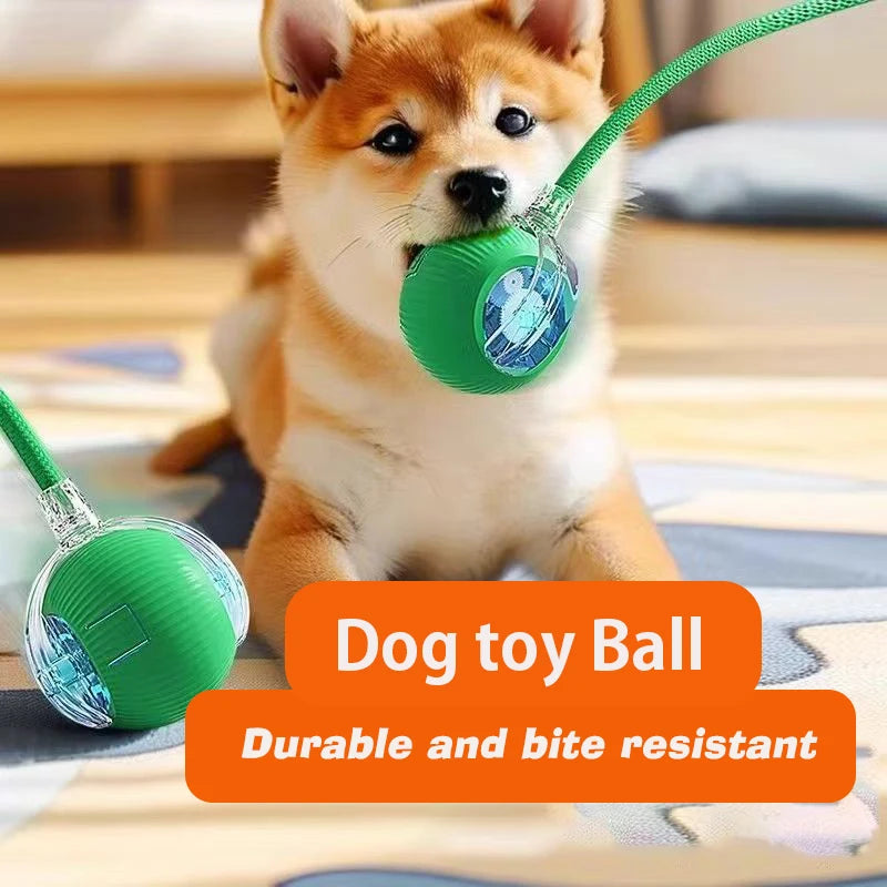 Interactive SmartRoll™ dog ball by Petivo, featuring a sleek design and automatic rolling for engaging playtime.