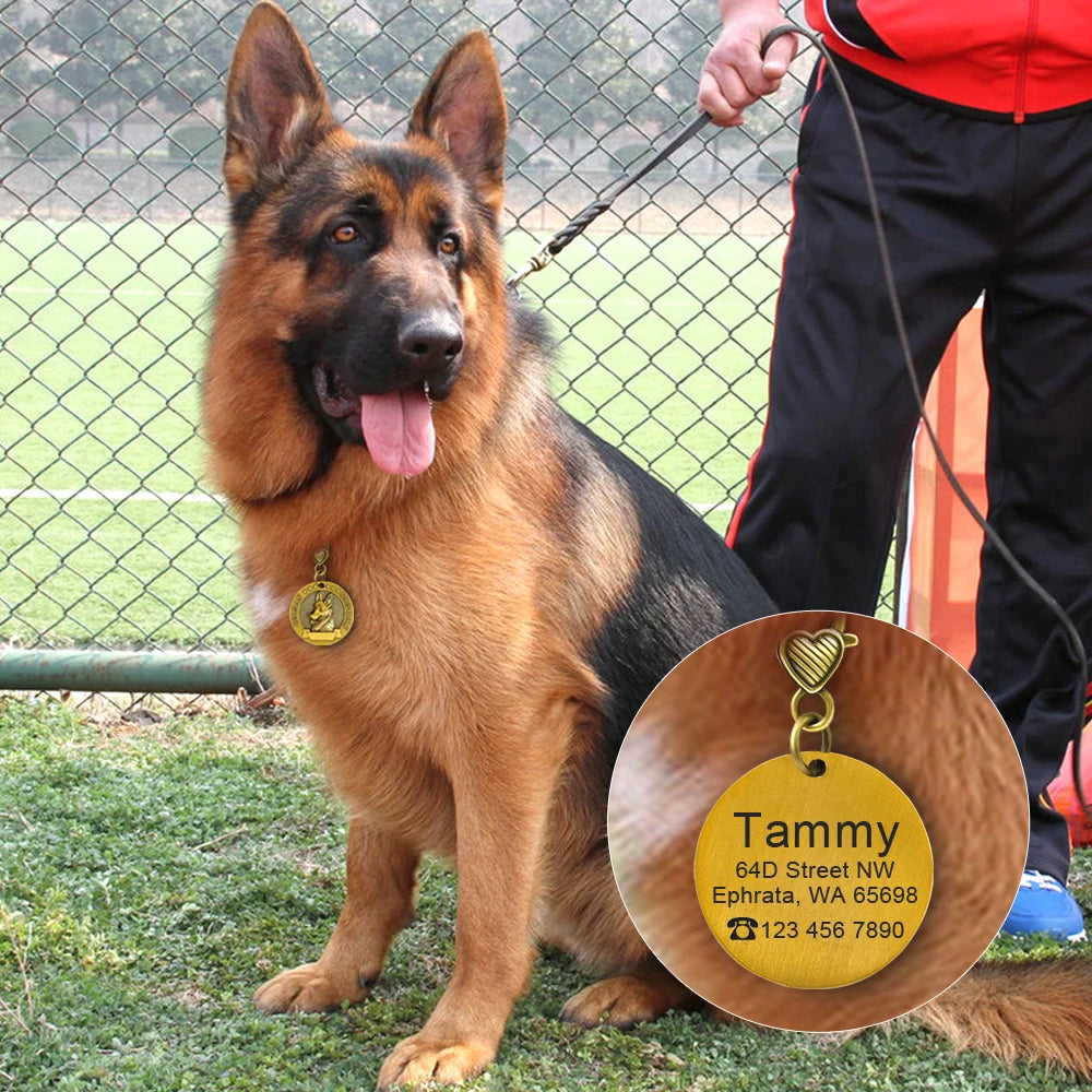 IDGuard™ Custom Dog Tag – Free Engraved Nameplate for Dogs | Anti-Lost Premium Collar Pendant