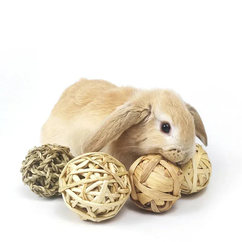 Interactive grass chew balls for small pets like guinea pigs and rabbits in various styles by Petivo.