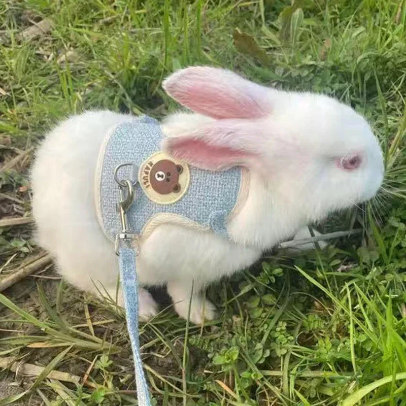 Cute rabbit harness and leash set by Petivo, showcasing a comfortable vest for outdoor adventures with a bunny.