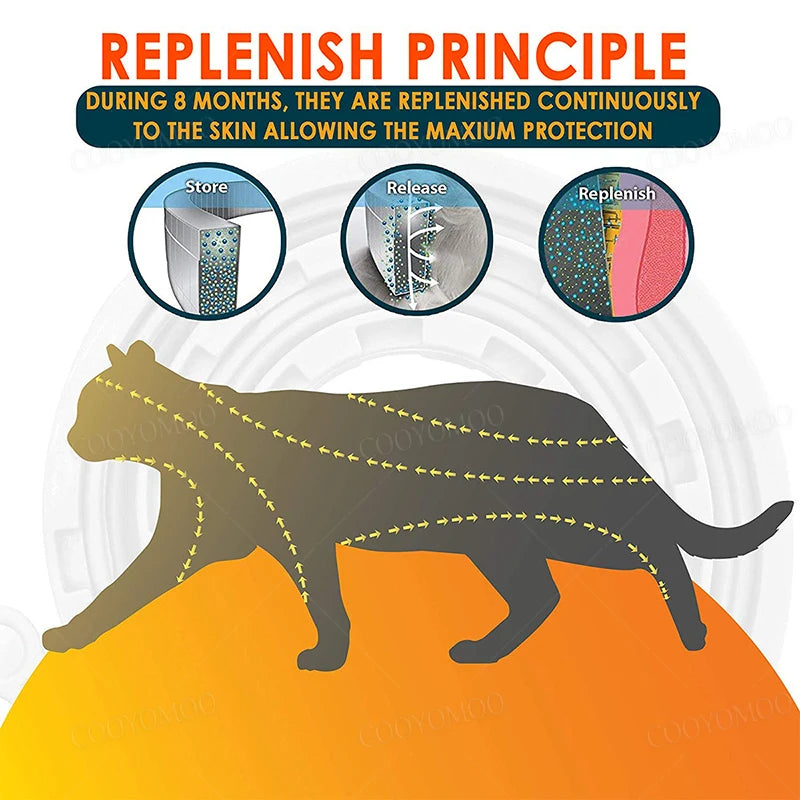 ZenTail™ Soothing Pet Collar for puppies and kittens, adjustable design in calming colors, displayed on a pet.