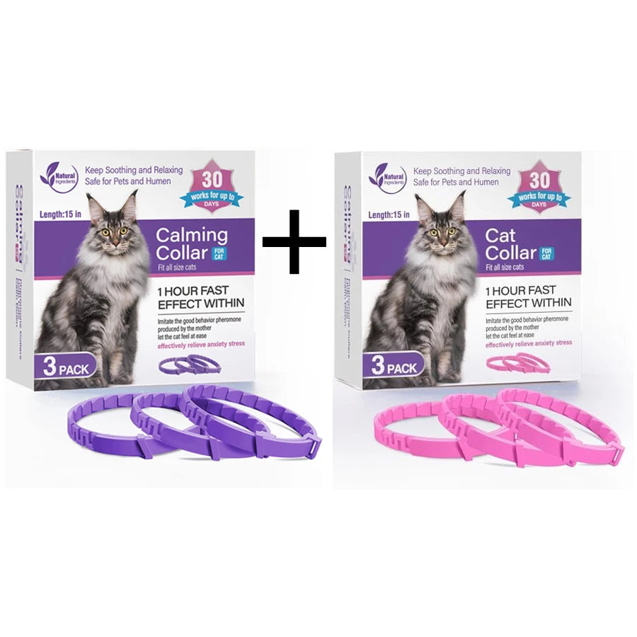 TickShield™ flea and tick collar for dogs and cats, designed for 8-month protection, displayed on a pet-friendly background.