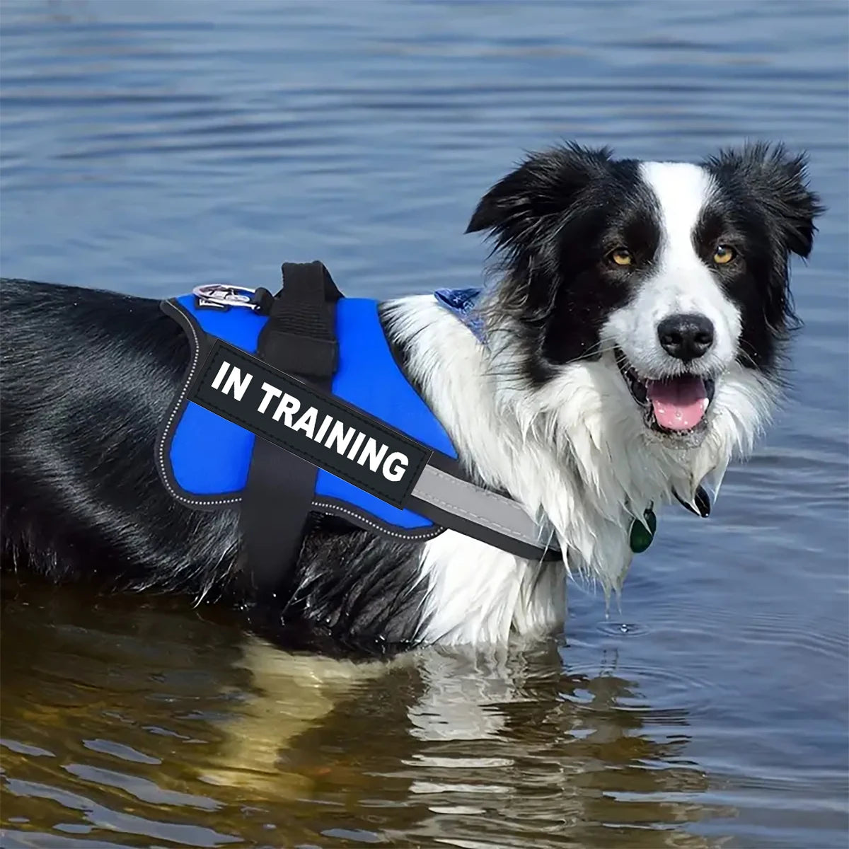 Reflective ComfortFit™ no-pull dog harness by Petivo, featuring adjustable straps and breathable fabric for comfort.
