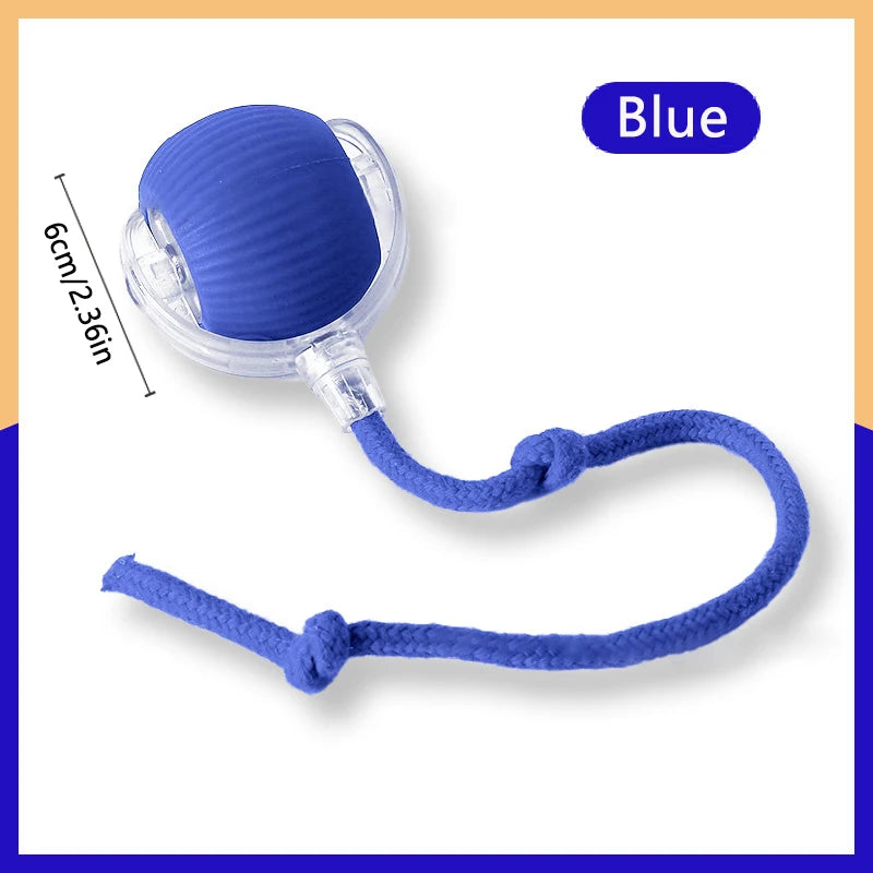 WhiskerPlay™ Smart Catnip Ball, electric plush toy for dogs, featuring vibrant colors and engaging sound elements.