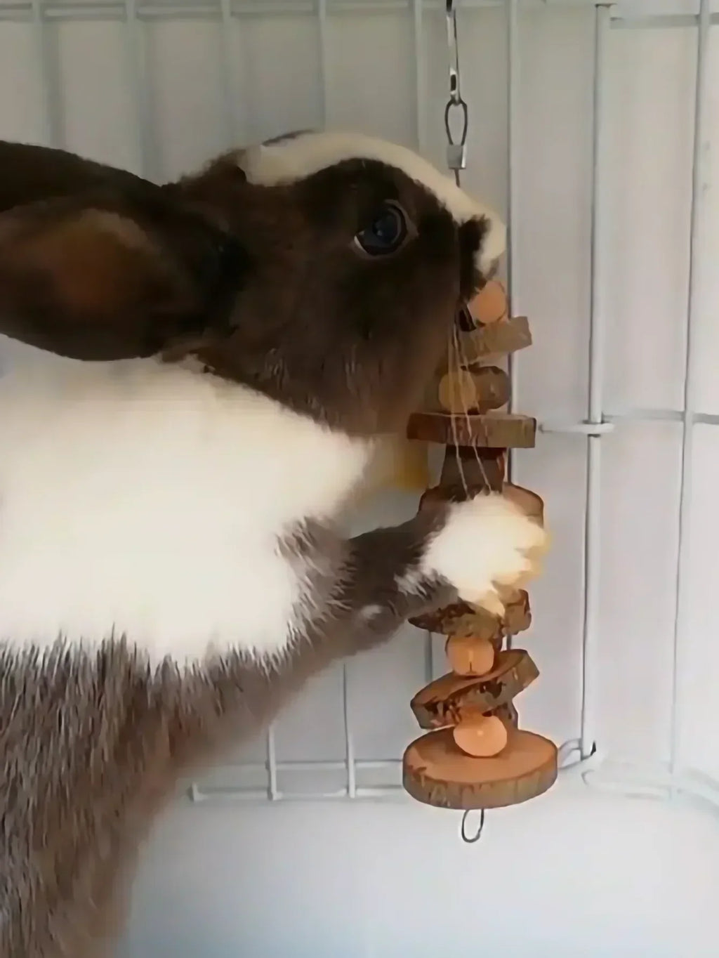 TinyTeeth™ Natural Wood Chew Sticks for small pets, showcasing a safe dental toy for chewing and play.