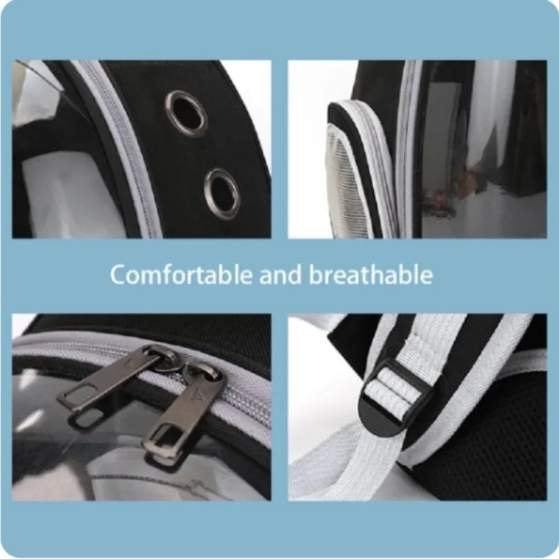 AeroVoyage transparent pet carrier backpack for dogs, featuring ultra-ventilation and escape-proof design for outdoor adventures.