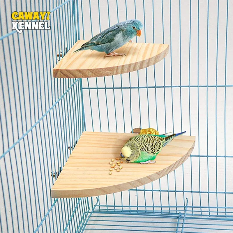 Eco-friendly ForestPerch™ natural wood corner terrace for birds, chinchillas, and hamsters in a fan shape.