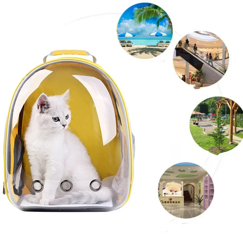 AeroVoyage transparent pet carrier backpack by Petivo, featuring ultra-ventilated design for hiking and travel with pets.