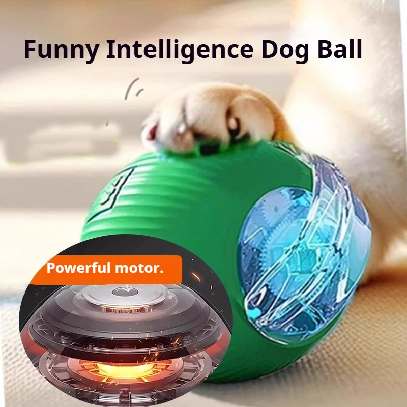 Interactive SmartRoll™ dog ball by Petivo, designed for automatic rolling and engaging playtime for pets.