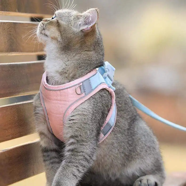 PurrStyle™ Cat Collar – Fashion Kitten Necklace with Removable Name Tag | Cute Animal Series