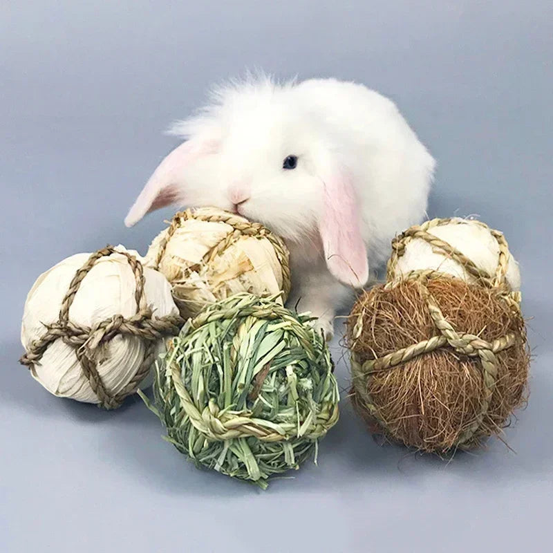 Interactive chew balls in various styles for small pets like guinea pigs and rabbits, made by Petivo.