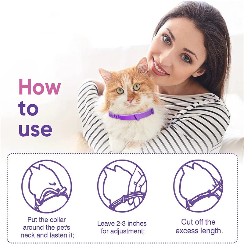 PeacePet™ calming collar for small and large pets, designed to provide protective anxiety relief and comfort.