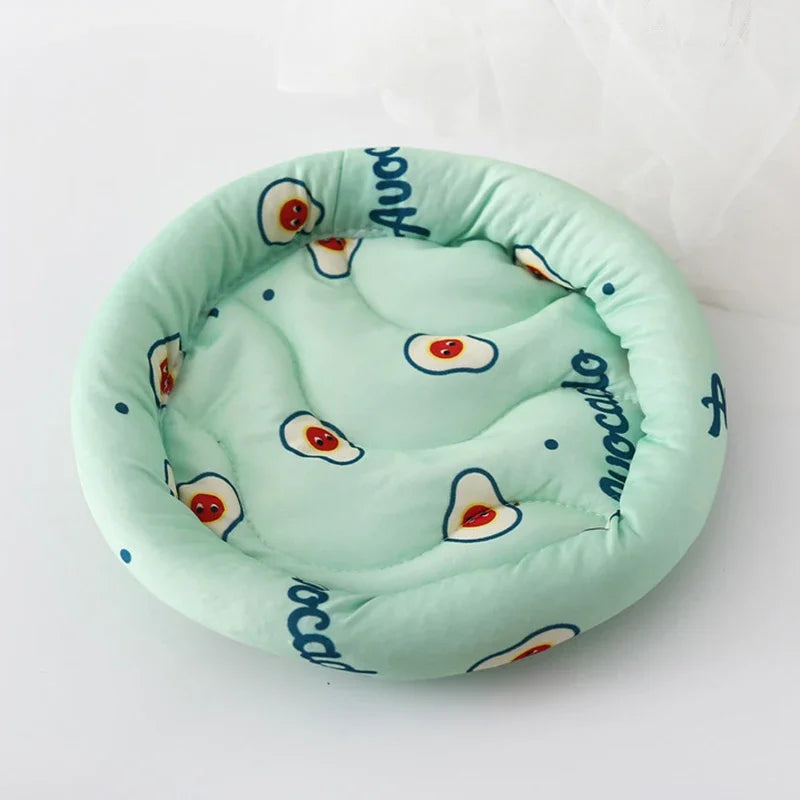 CloudSnug™ small pet haven with ultra-soft thermal hideaway for guinea pigs, chinchillas, and bunnies in plush cushion nest.