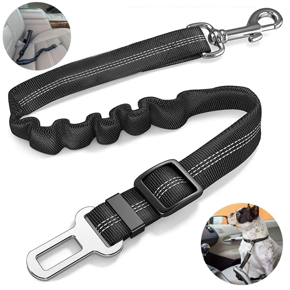 Adjustable SafePaws™ dog car seat belt in reflective elastic, designed for safe travel with pets.