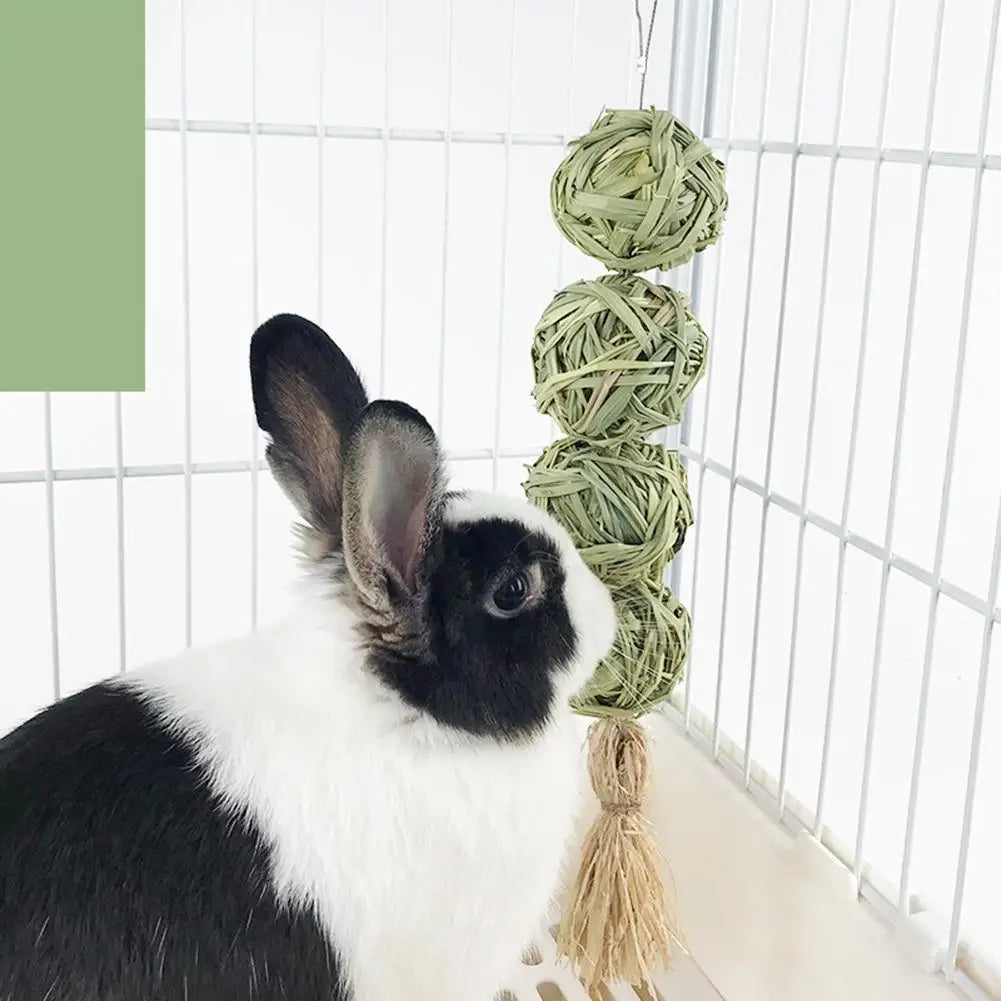 Natural grass chewing balls by Petivo, perfect for eco-friendly pet play and chewing activities.