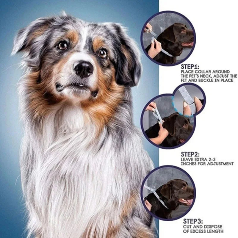 Adjustable FleaGuard™ pet collar by Petivo, designed for 8-month protection against fleas and ticks on dogs or cats.