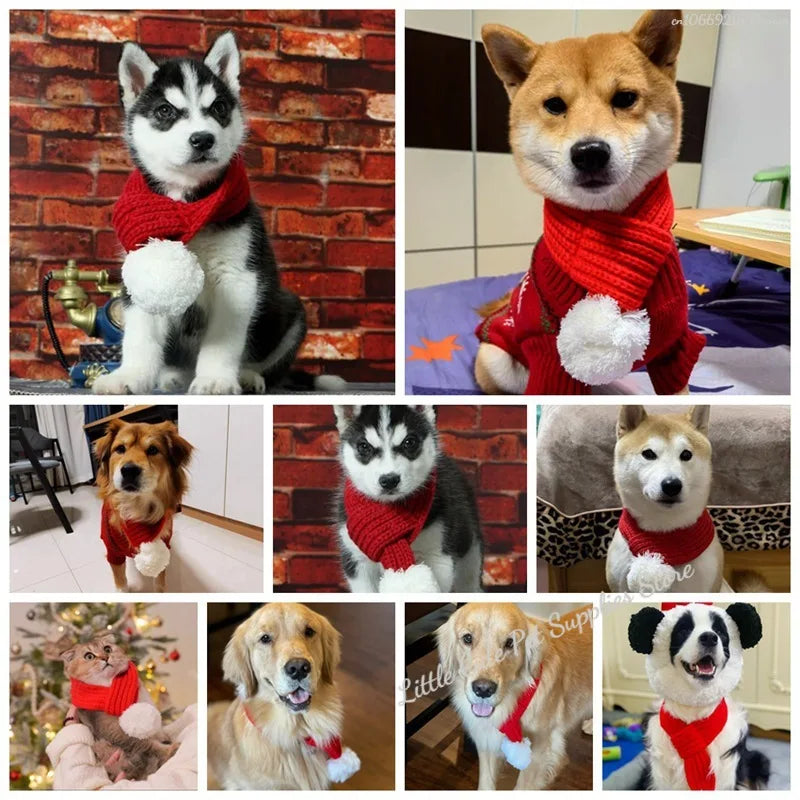 Red knitted scarf with pompom neck warmer for dogs and cats by Petivo, showcasing cozy comfort and stylish design.