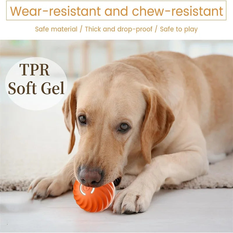 WhiskerPlay™ Smart Catnip Ball, an electric plush toy for dogs, featuring vibrant colors and soft texture.