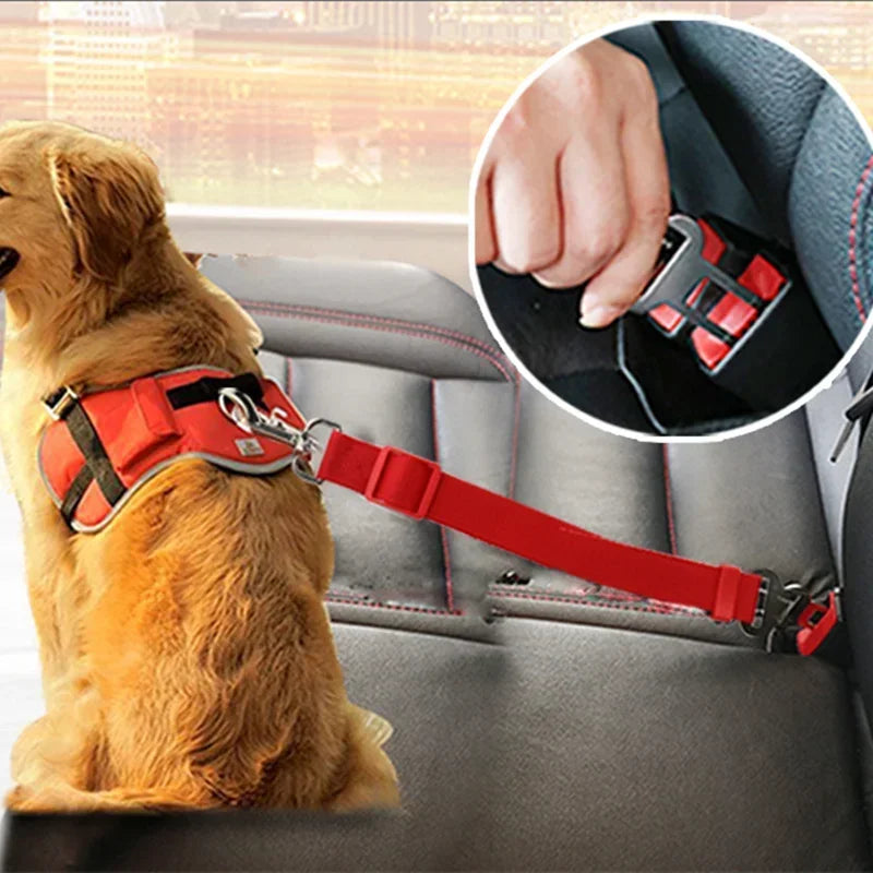 Dog wearing red harness seat belt attached to car seat for pet travel safety