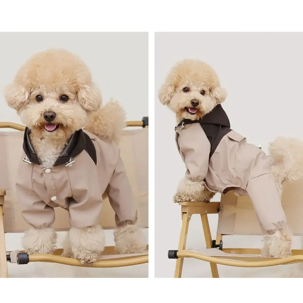 Small fluffy dog wearing beige and black dog jumpsuit sitting on a chair.