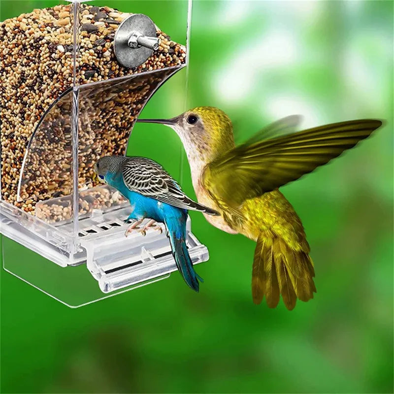 No-mess automatic feeder for parakeets and budgies from Petivo, showcasing a sleek, eco-friendly design.