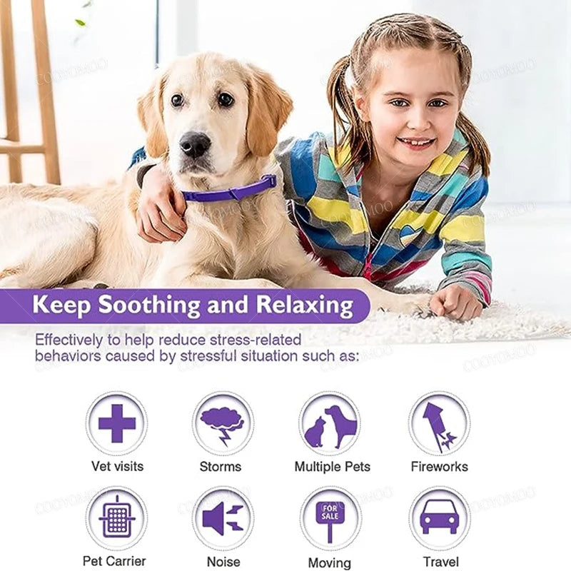 PeacePet™ calming collar for small and large pets, designed for anxiety relief with a protective fit.