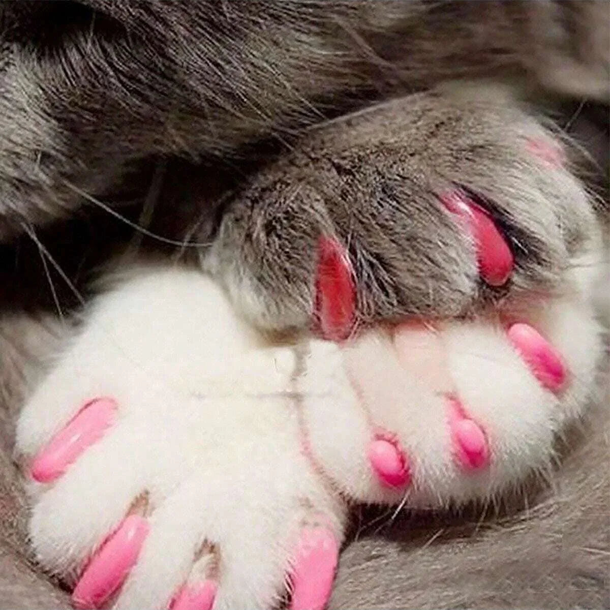 Colorful SoftPaws™ cat nail caps in a variety of shades for safe grooming and claw protection, displayed in a pack.