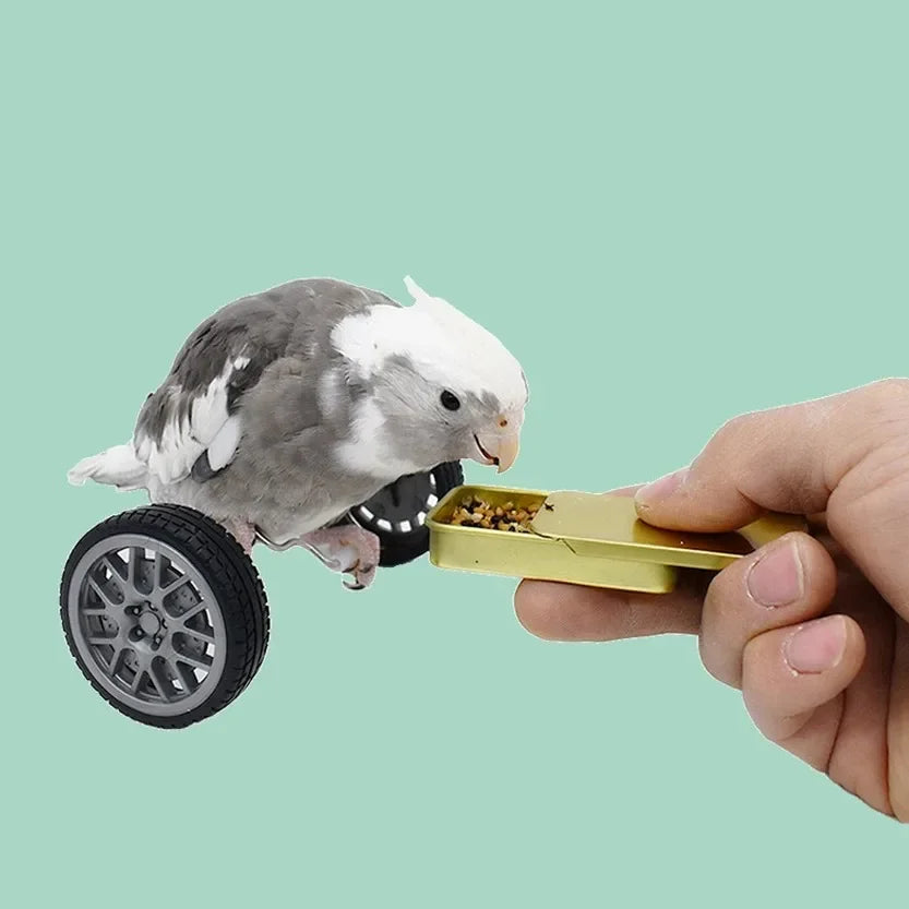 Interactive SmartBalance™ Parrot Toy for birds, featuring balance elements and vibrant colors for intelligence training.