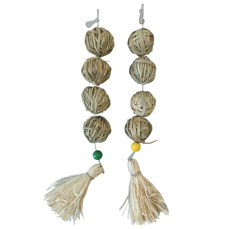 Earth-Friendly Edibles: Natural Grass Chewing Balls - Petivo Pets Store