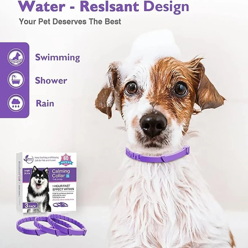 PeacePet™ Calming Collar for pets, designed to relieve anxiety, shown on a small dog in a tranquil setting.