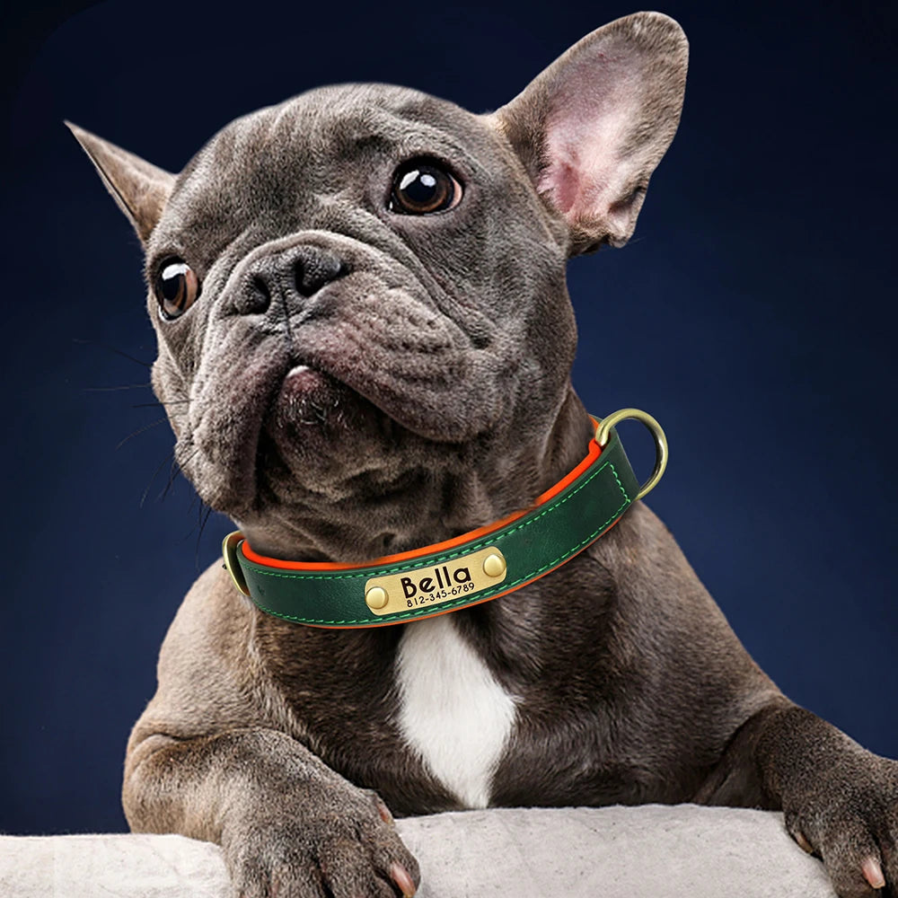 UrbanPaws™ Custom Collar – Wide Soft PU Leather Dog Collar with Personalized Name Tag