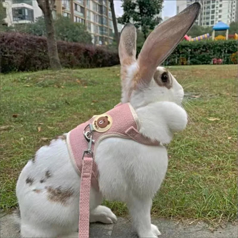 Cute BunnyWalk™ rabbit harness and leash set showing a comfortable vest for outdoor adventures with a playful rabbit.