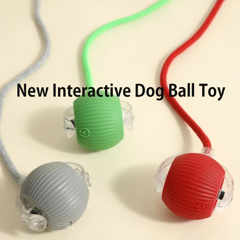 Interactive SmartRoll™ dog ball by Petivo, featuring automatic rolling action for engaging playtime.