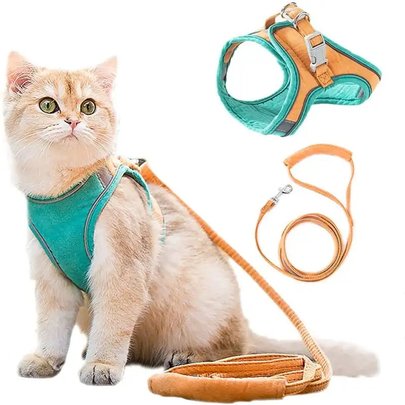 PurrStyle™ Cat Collar – Fashion Kitten Necklace with Removable Name Tag | Cute Animal Series