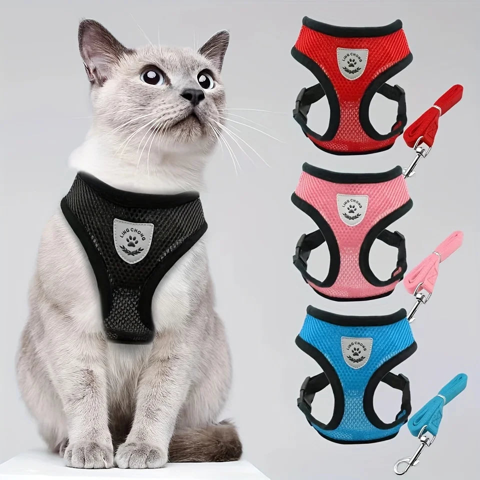 CharmPaws™ Kitten Collar – Cute Cat Necklace with Removable Name Pendant | Stylish Pet Accessory