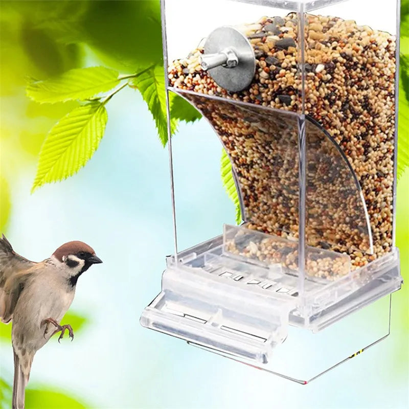 Zero-waste automatic feeder for parakeets and budgies by Petivo, showcasing a no-mess design and vibrant colors.