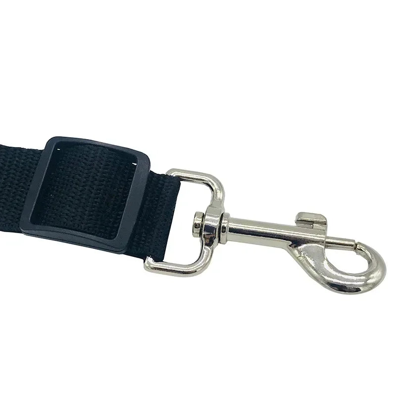 Black adjustable pet leash with metal clip, durable dog leash accessory