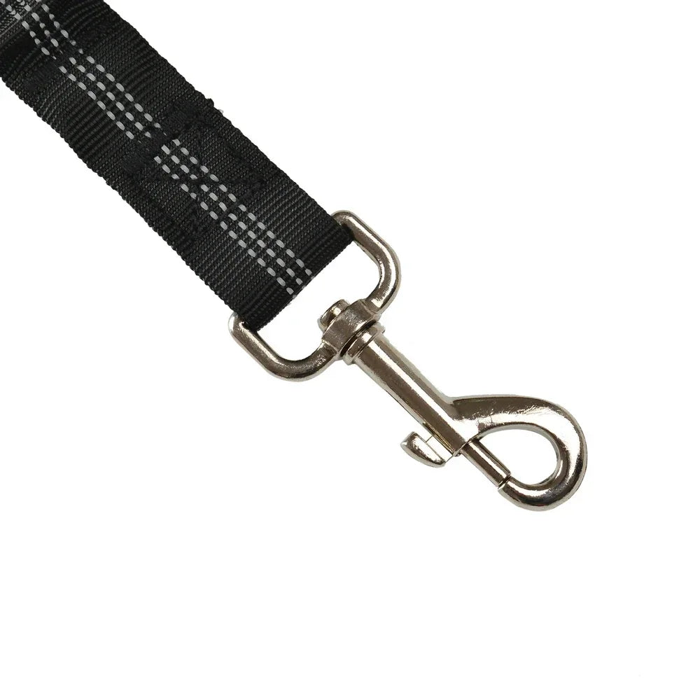 Adjustable SafePaws™ dog car seat belt featuring reflective elastic for safe travel, securely holding a medium-sized dog.