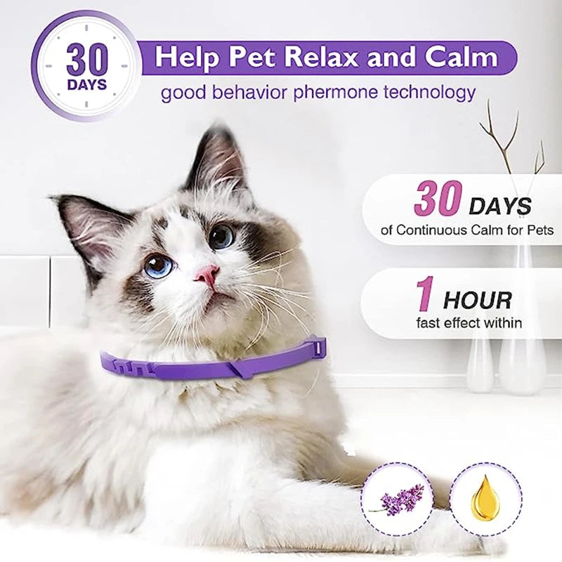 TickShield™ flea and tick collar for dogs and cats, showcasing its durable design and effective 8-month protection.
