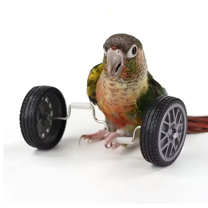 SmartBalance™ Parrot Toy by Petivo, featuring colorful interactive components for bird balance and intelligence training.