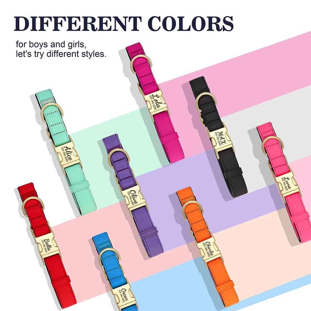RoyalTag™ Dog Collar – Personalized Wide Leather Collar with Custom Nameplate for Small to Large Dogs