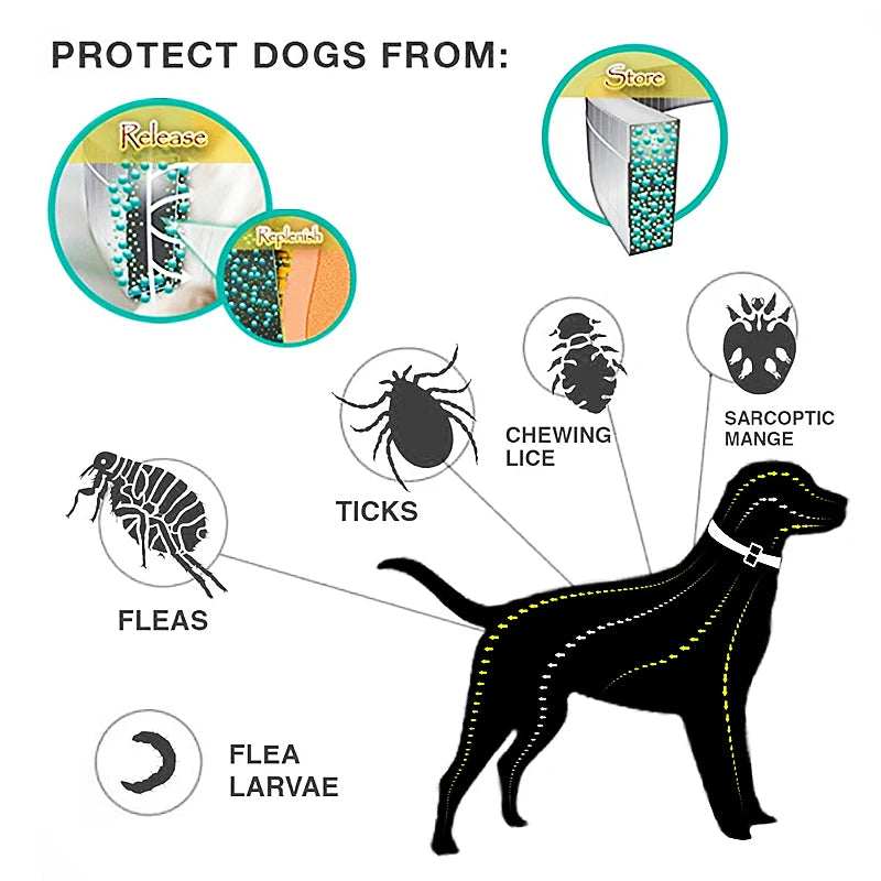 PawProtect™ Anti-Flea & Tick Collar by Petivo, adjustable design for 8-month protection on a pet's neck.