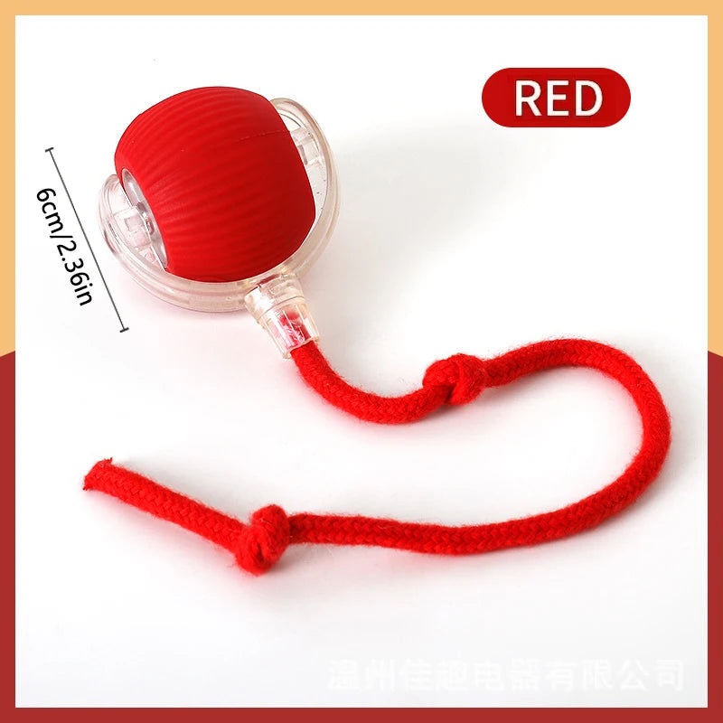 WhiskerPlay™ Smart Catnip Ball, electric plush toy for dogs, featuring vibrant colors and playful design.