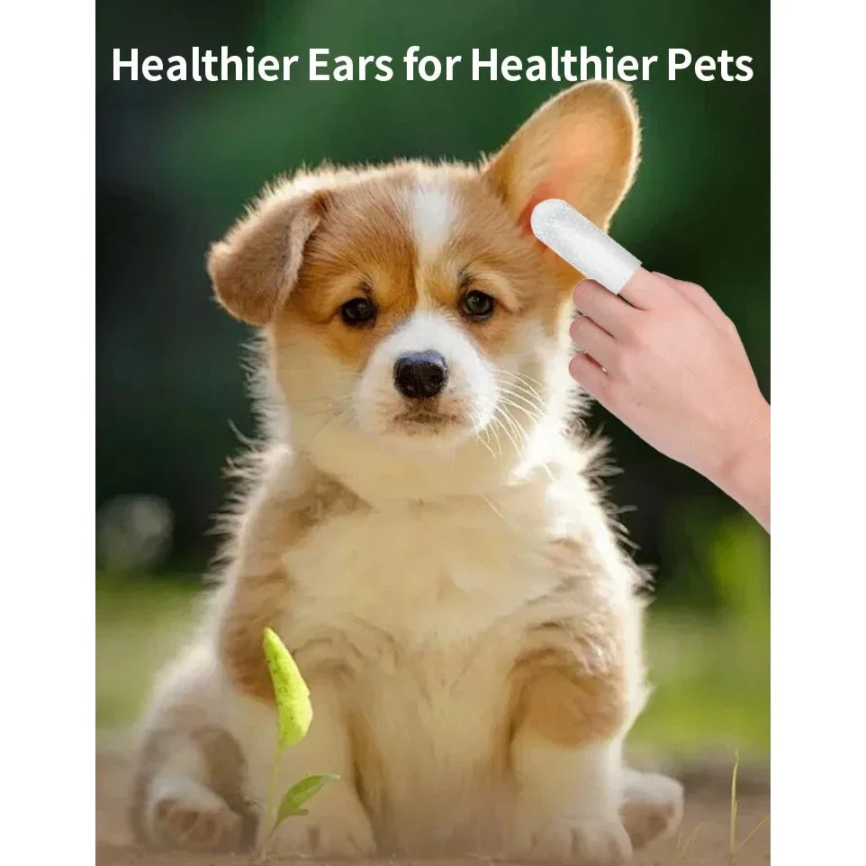 Ultra-soft PureTouch™ Hygiene Mitts for pets, featuring fingertip wipes for fresh breath and clear ears.